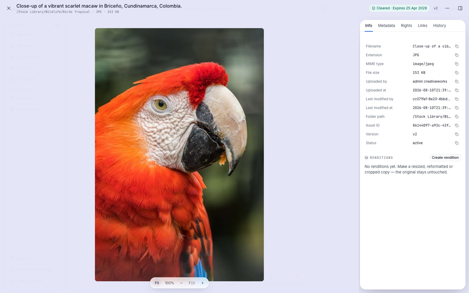Full-screen asset preview with instant detail panel